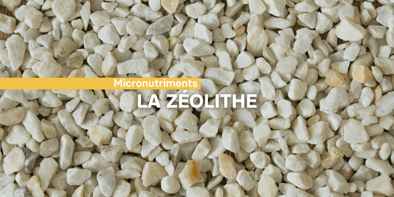 Zeolita: un mineral excepcional
