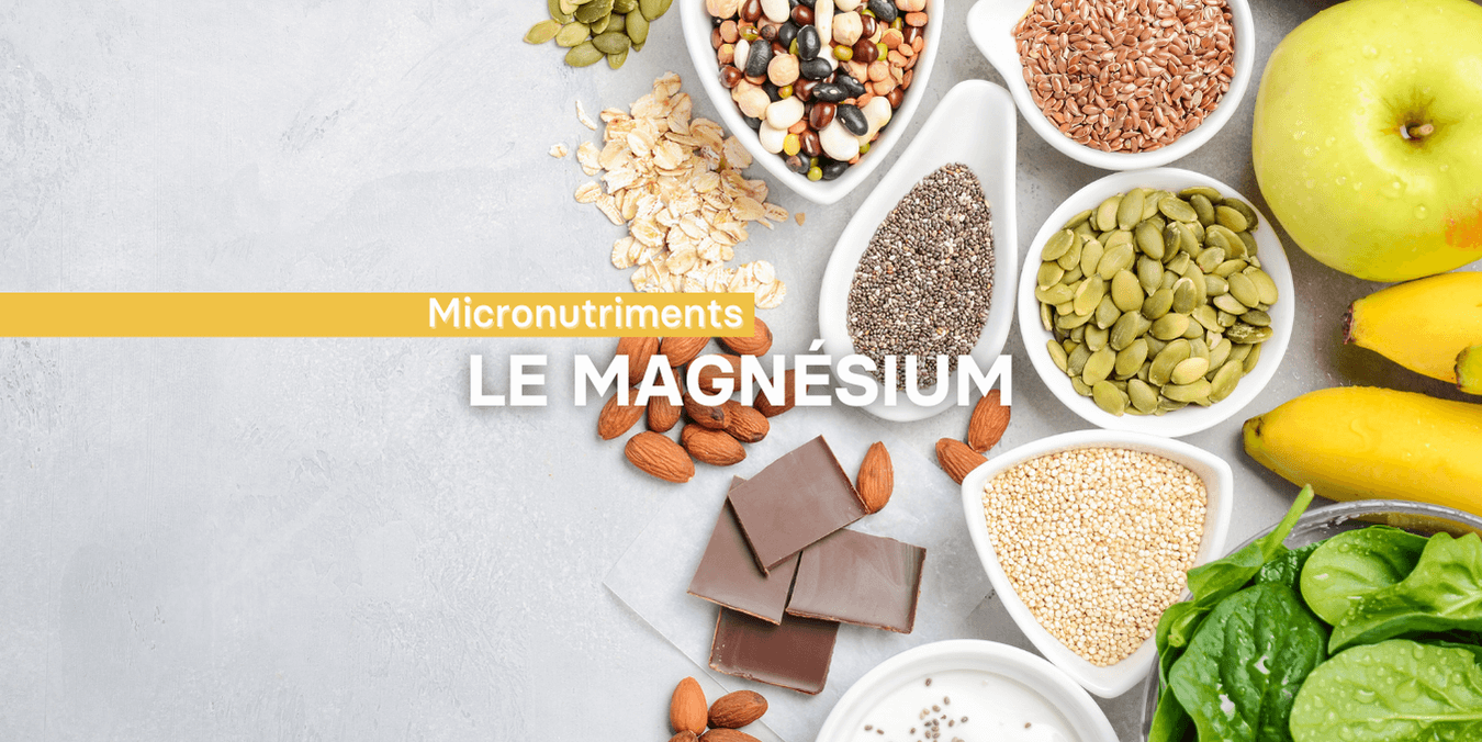Le magnésium