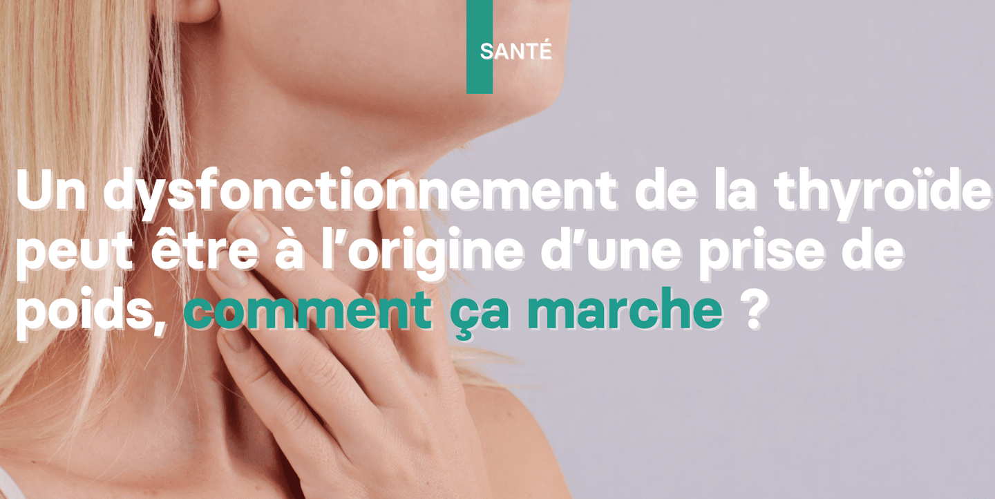 Illustration : Dysfonctionnement de la thyroïde et prise de poids, quel est le lien ?