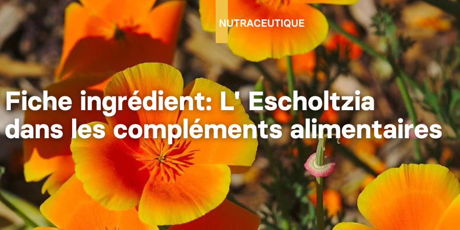 Illustration: Fiche ingrédient: L'Escholtzia dans les compléments alimentaires