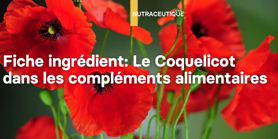 Illustration: Fiche ingrédient: Le coquelicot dans les compléments alimentaires