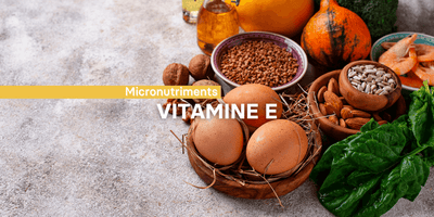Fiche ingrédient: La vitamine E
