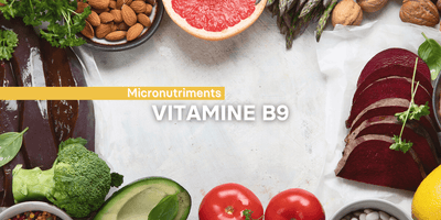 Fiche ingrédient: La vitamine B9