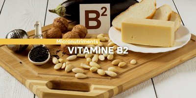 Fiche ingrédient: La vitamine B2
