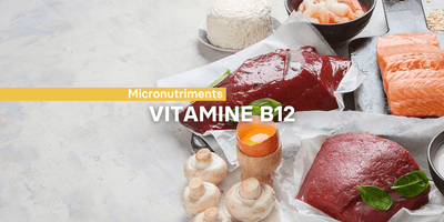 Fiche ingrédient: La vitamine B12