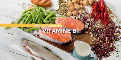 Fiche ingrédient: La vitamine B1