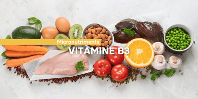 Fiche ingrédient: La vitamine B3