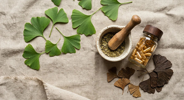 Les bienfaits cognitifs du Ginkgo Biloba : Que dit la recherche?