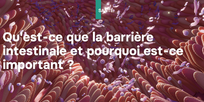 Qu'est-ce c'est que la barrière intestinale et pourquoi est-ce important ?