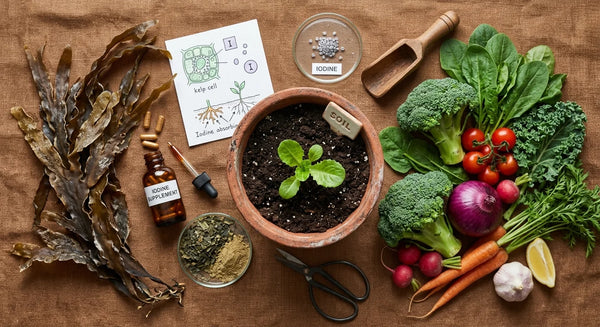 L'impact de l'agriculture moderne sur nos apports nutritionnels en iode