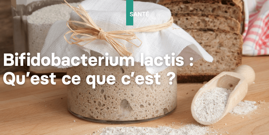 Bifidobacterium lactis : qu'est ce que c'est ?