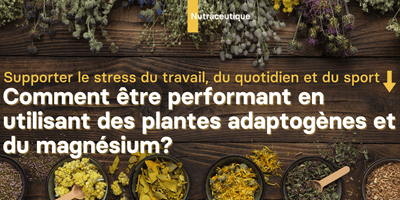Supporter le stress du travail, du quotidien et du sport. Comment être performant en utilisant des plantes adaptogènes et du magnésium?