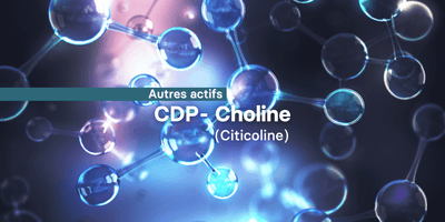 Fiche ingrédient: La CDP-choline (citicoline)