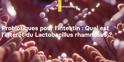 Probiotiques pour l’intestin : quel est l’intérêt du Lactobacillus rhamnosus ?