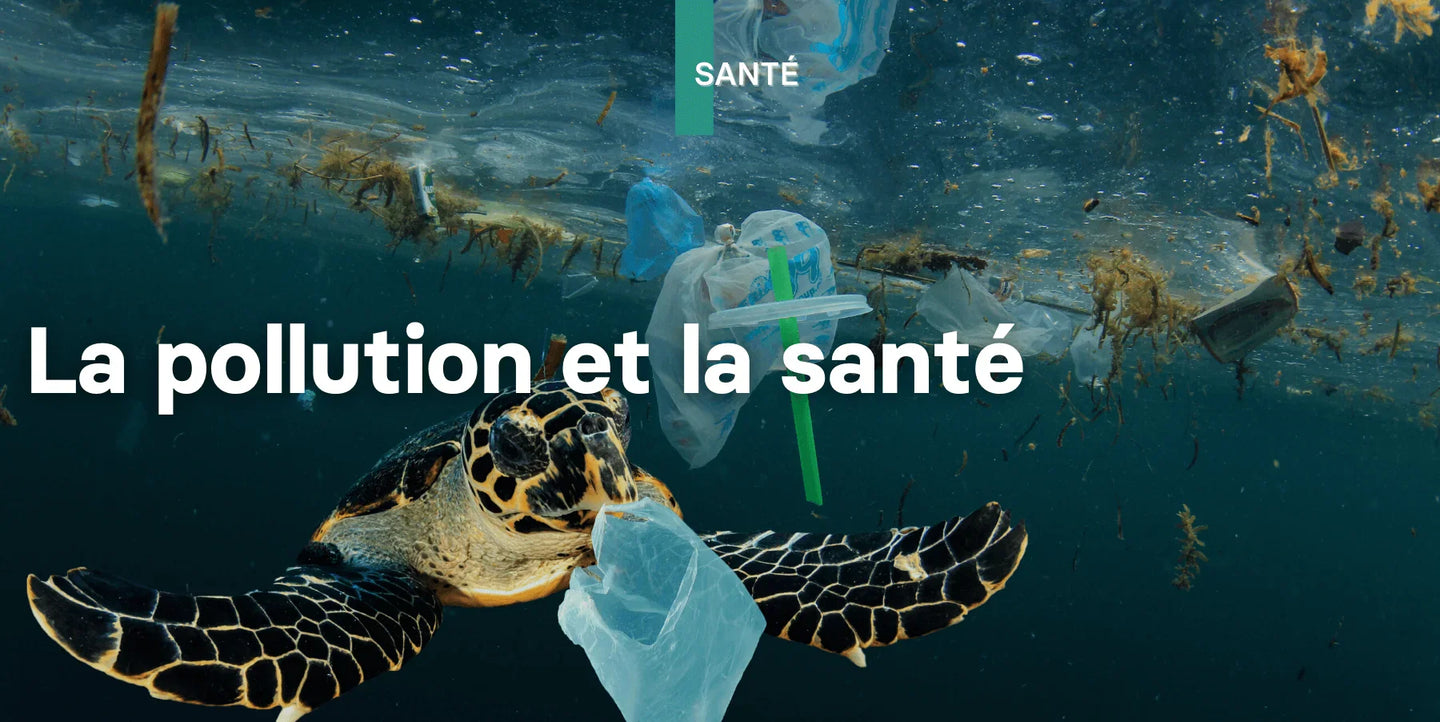 La pollution et la santé