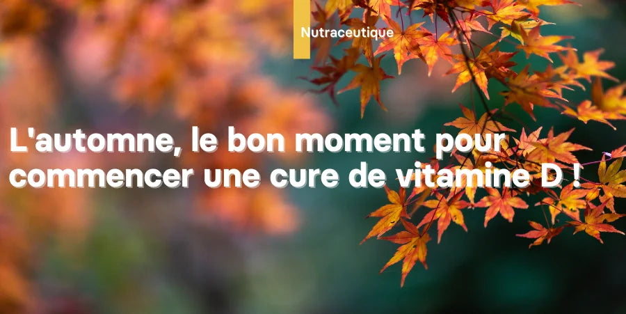 Illustration: L'automne, le bon moment pour commencer une cure de vitamine D