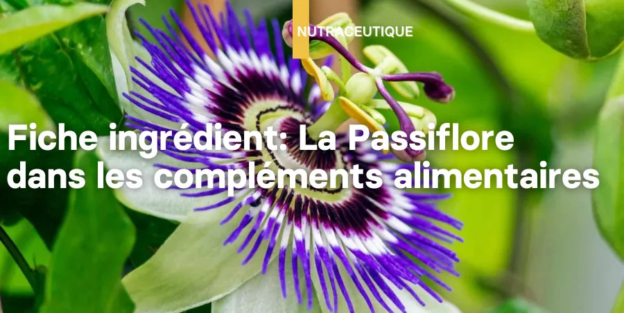 Illustration: Fiche ingrédient: La Passiflore dans les compléments alimentaires