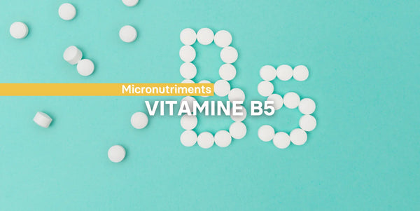 La vitamine B5