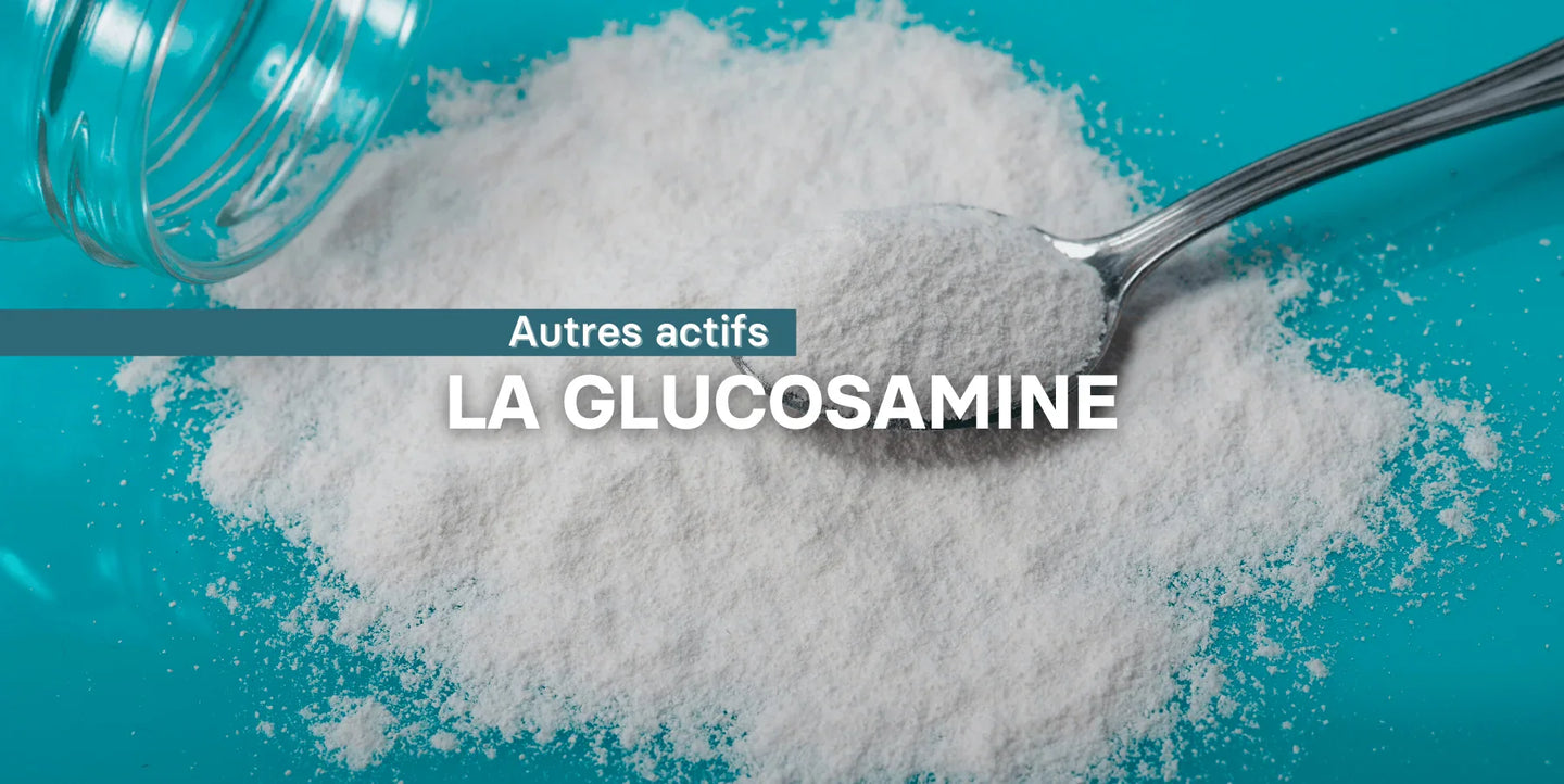 La glucosamine