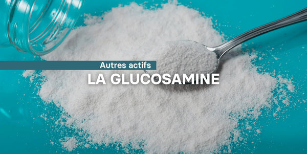 La glucosamine