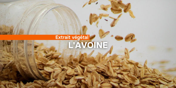 L'avoine