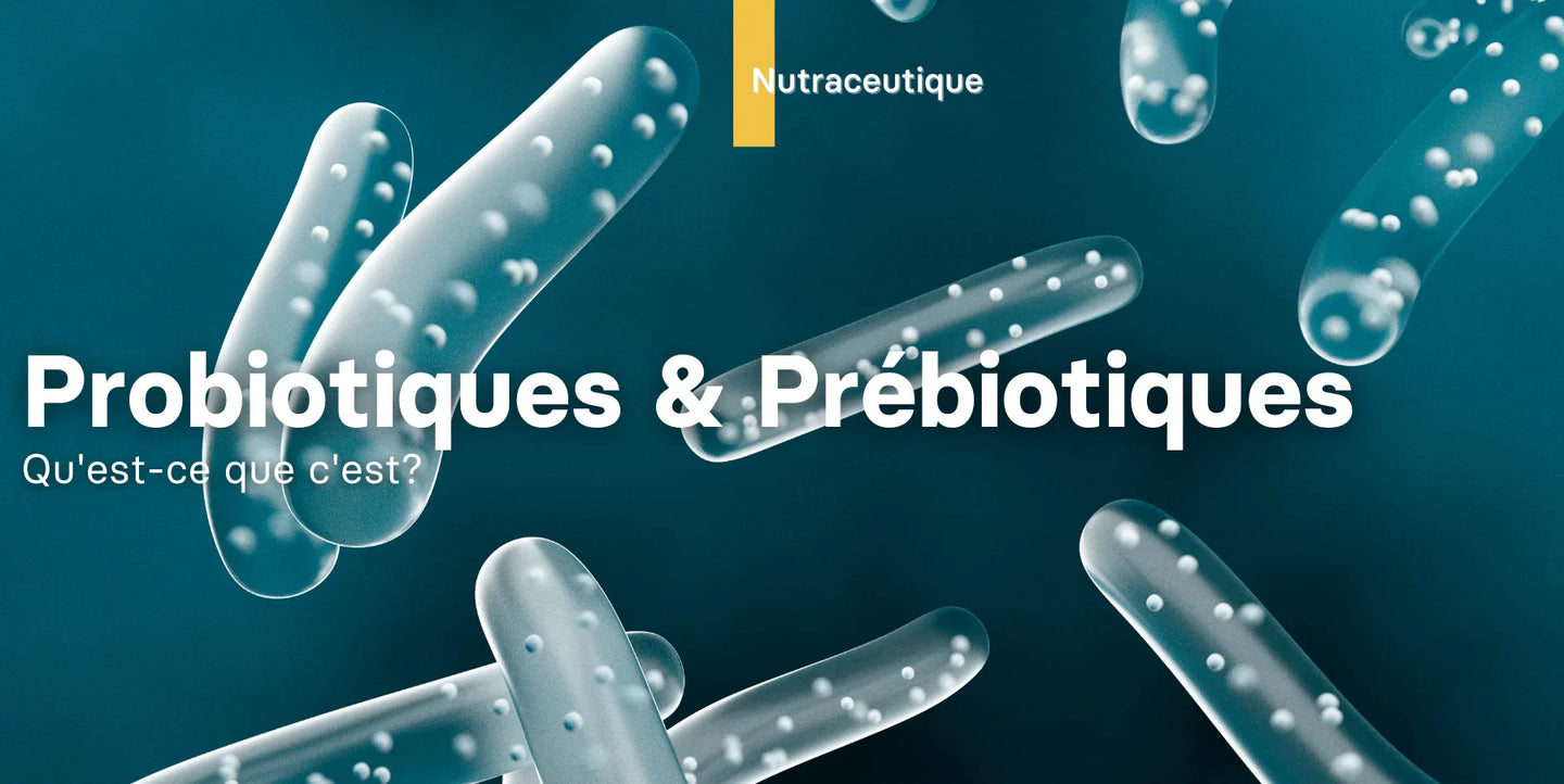 Les prébiotiques et les probiotiques