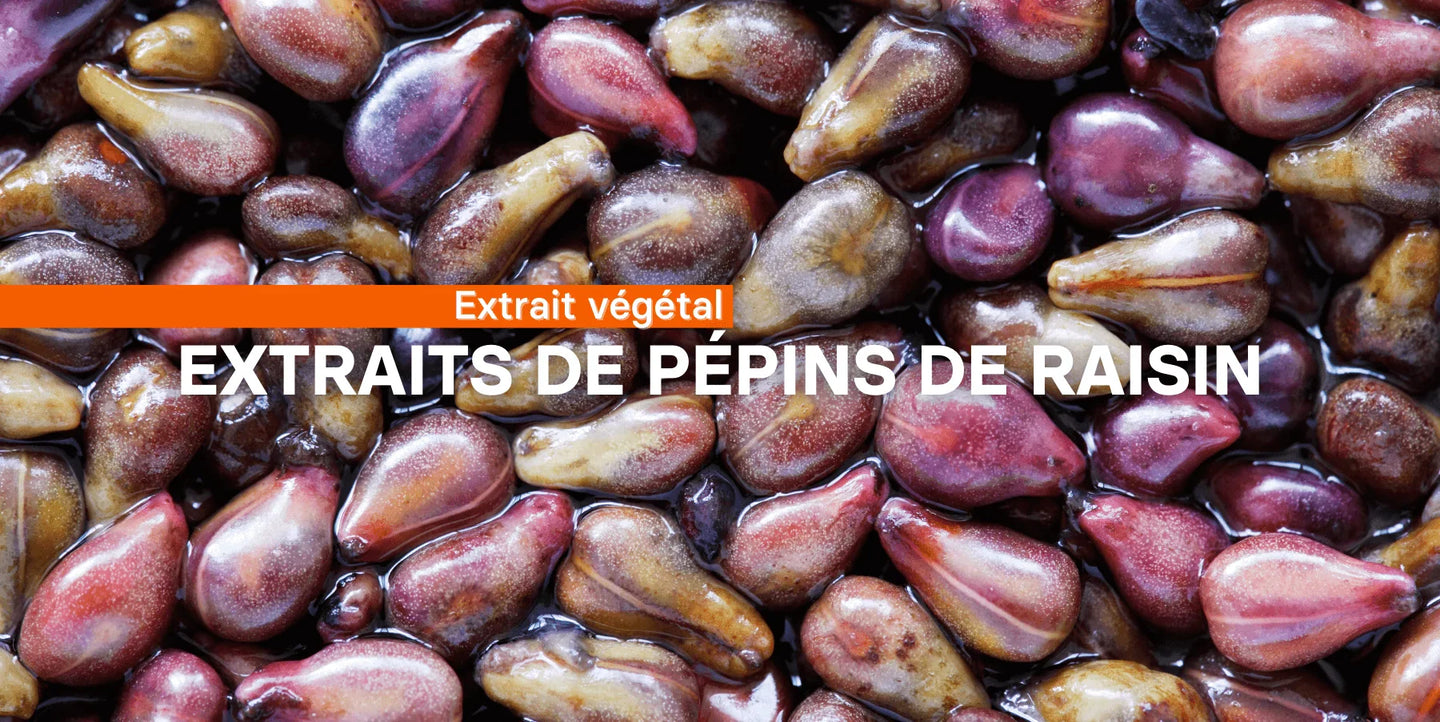 Les extraits de pépins de raisin