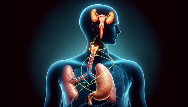 view?usp=drivesdk - Phytocea compléments alimentaires naturels