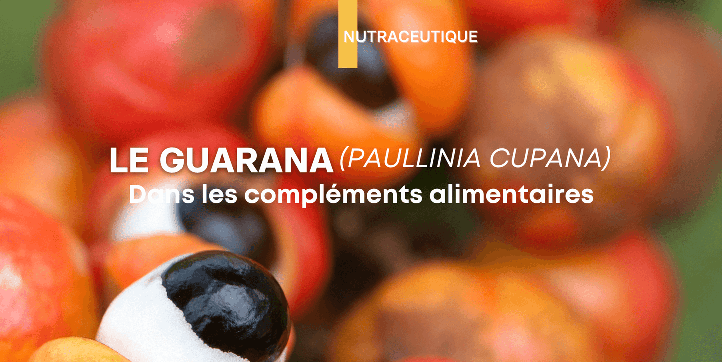 Illustration: Le guarana (paullinia cupana) dans les compléments alimentaires