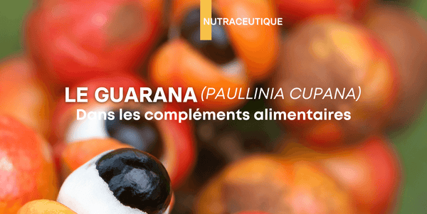 Illustration: Le guarana (paullinia cupana) dans les compléments alimentaires