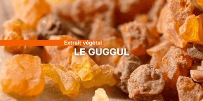 Fiche ingrédient: Le guggul (commiphora wightii) dans les compléments alimentaires