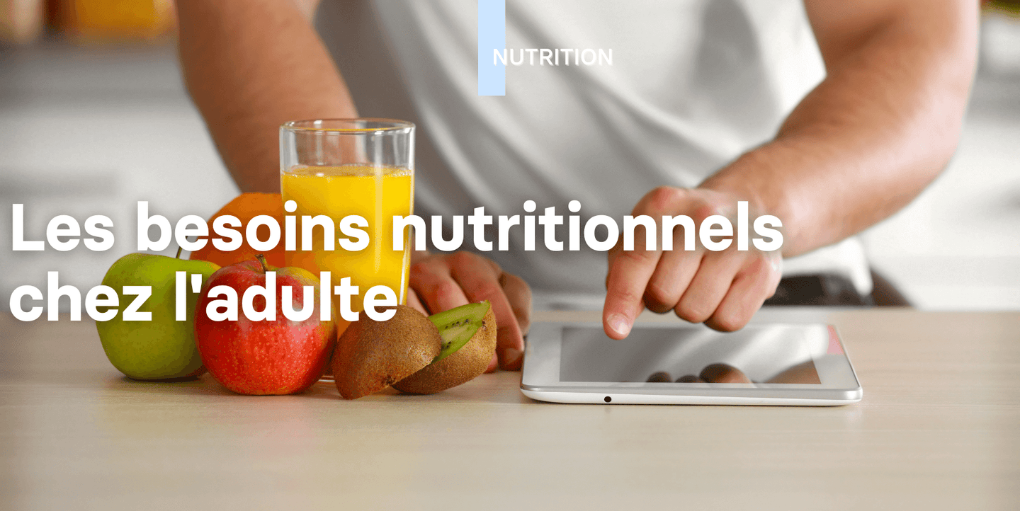 Les besoins nutritionnels chez l'adulte