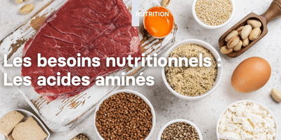 Necesidades nutricionales: concéntrese en los aminoácidos