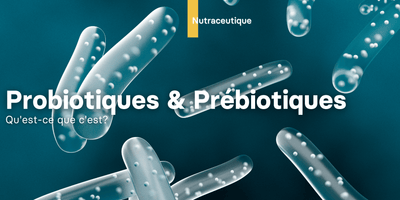 Que sont les prébiotiques et les probiotiques?