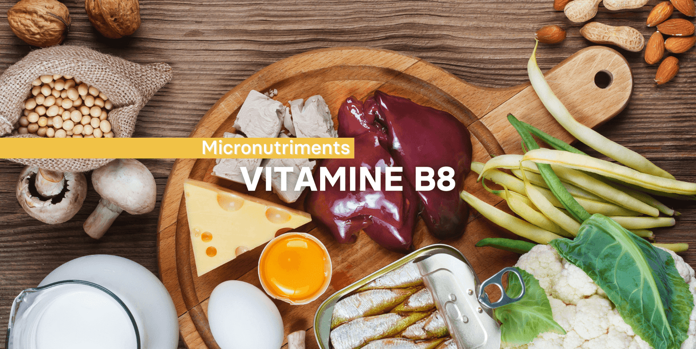 La vitamine B8