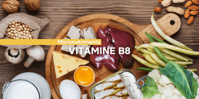 Fiche ingrédient: La vitamine B8
