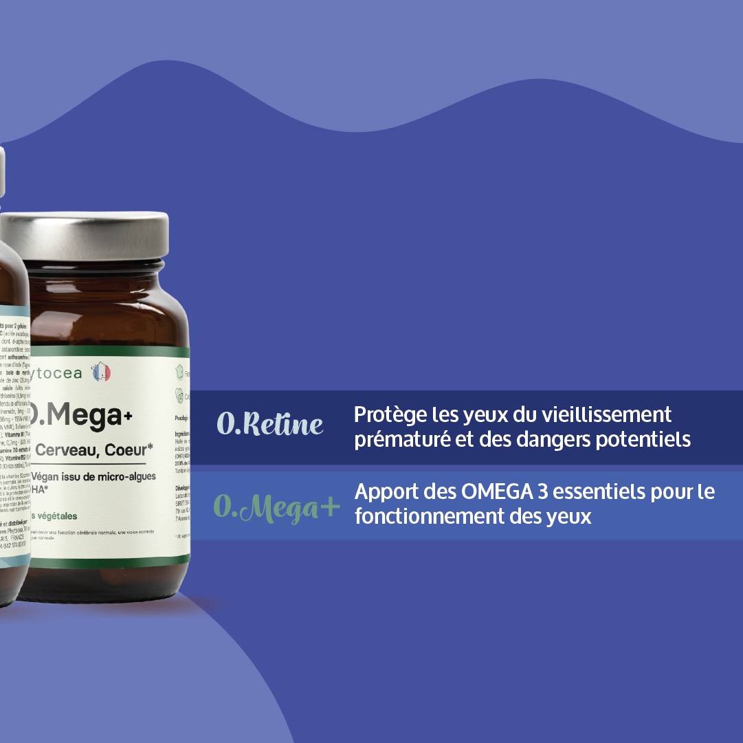 BOX vision+ : composition de la box