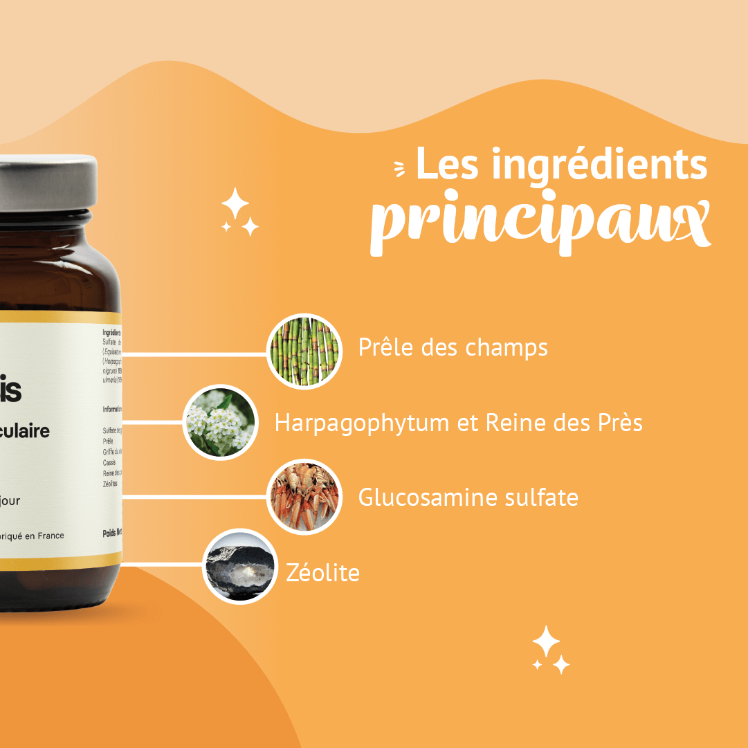 Kinesis: Complément alimentaire pour articulations