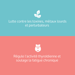 La BOX protect: caractéristiques