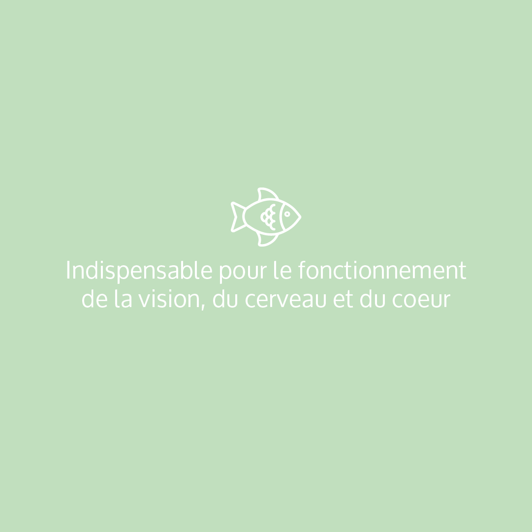 OMega+: Complément alimentaire, Oméga 3 concentrés en DHA