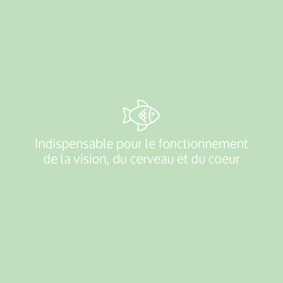 OMega+: Complément alimentaire, Oméga 3 concentrés en DHA