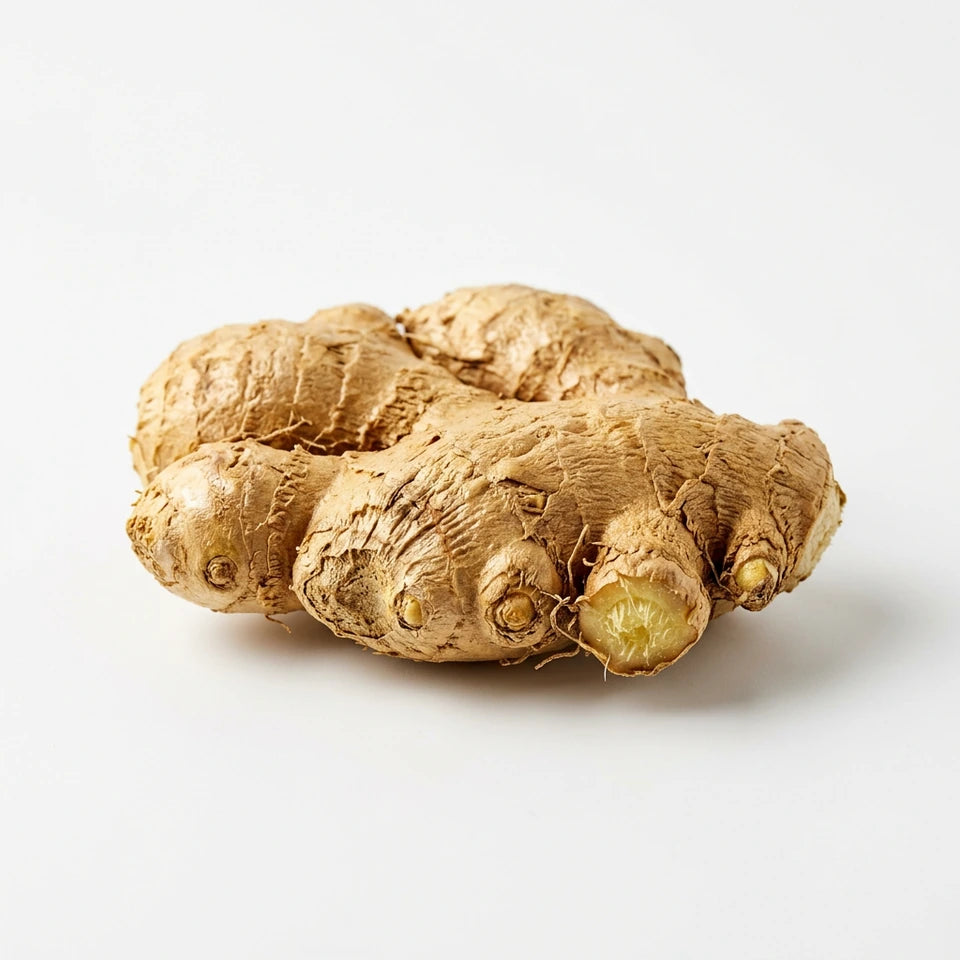Gingembre BIO